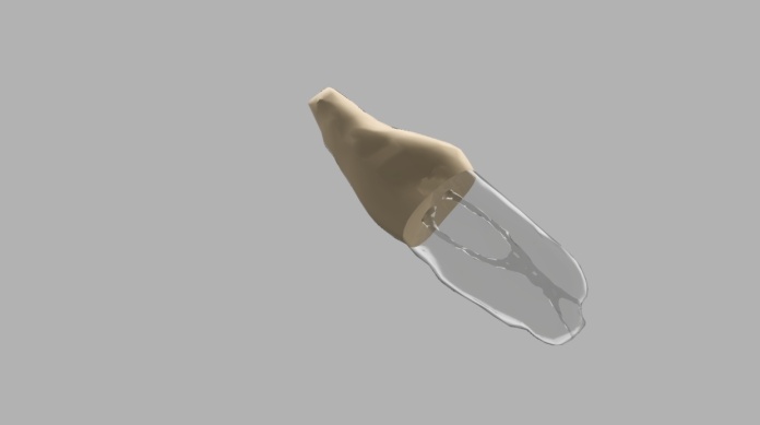 Model zęba BIOMED3D #28